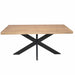 Rechthoekige eettafel Dakota Naturel Mangohout 180 cm