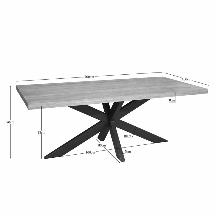 Rechthoekige eettafel Dakota Naturel Mangohout 200 cm