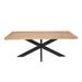 Rechthoekige eettafel Dakota Naturel Mangohout 200 cm