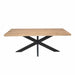 Rechthoekige eettafel Dakota Naturel Mangohout 200 cm