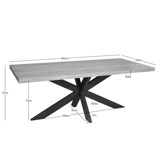 Rechthoekige eettafel Dakota Naturel Mangohout 200 cm