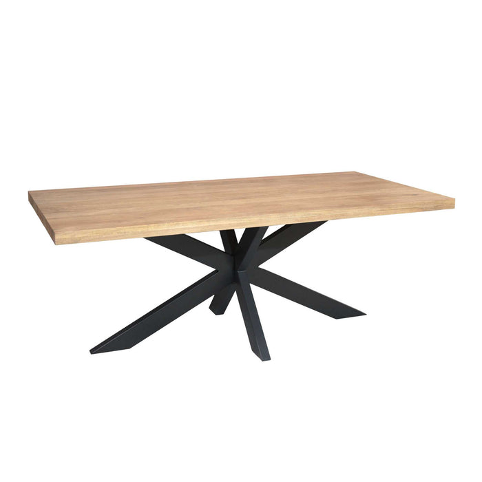 Rechthoekige eettafel Dakota Naturel Mangohout 200 cm