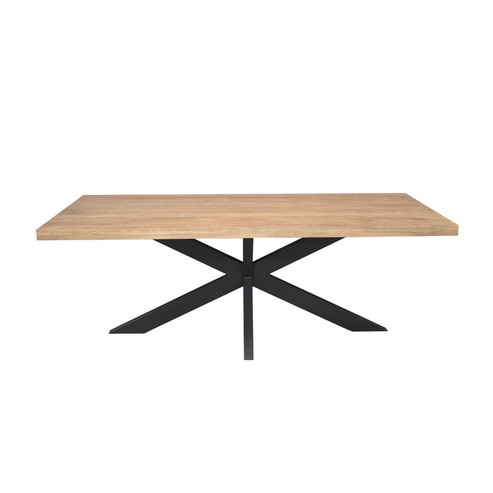 Rechthoekige eettafel Dakota Naturel Mangohout 220 cm