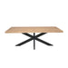 Rechthoekige eettafel Dakota Naturel Mangohout 220 cm