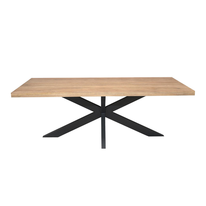 Rechthoekige eettafel Dakota Naturel Mangohout 240 cm