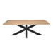 Rechthoekige eettafel Dakota Naturel Mangohout 240 cm