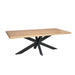 Rechthoekige eettafel Dakota Naturel Mangohout 240 cm