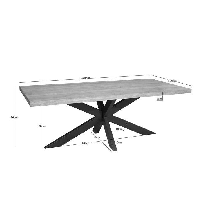 Rechthoekige eettafel Dakota Naturel Mangohout 240 cm