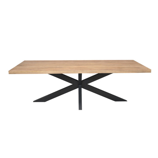 Rechthoekige eettafel Dakota Naturel Mangohout 300 cm