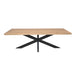 Rechthoekige eettafel Dakota Naturel Mangohout 300 cm