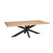 Rechthoekige eettafel Dakota Naturel Mangohout 300 cm