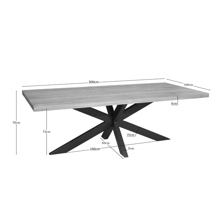Rechthoekige eettafel Dakota Naturel Mangohout 300 cm