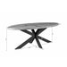 Ovale eettafel Dakota Naturel Mangohout 160 cm