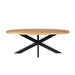 Ovale eettafel Dakota Naturel Mangohout 180 cm