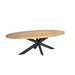 Ovale eettafel Dakota Naturel Mangohout 210 cm