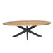 Ovale eettafel Dakota Naturel Mangohout 240 cm