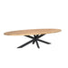 Ovale eettafel Dakota Naturel Mangohout 300 cm