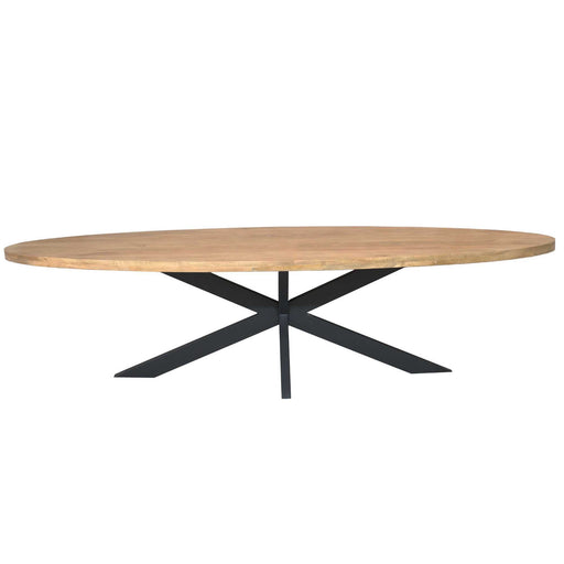 Ovale eettafel Dakota Naturel Mangohout 300 cm
