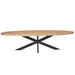 Ovale eettafel Dakota Naturel Mangohout 300 cm