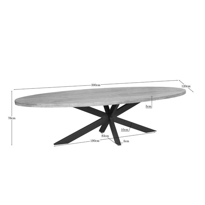 Ovale eettafel Dakota Naturel Mangohout 300 cm
