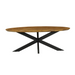Ovale eettafel Brandy Naturel Mangohout 210 cm