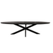 Ovale eettafel Brandy Zwart Mangohout 160 cm