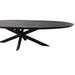 Ovale eettafel Brandy Zwart Mangohout 300 cm