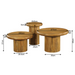 Salontafel set Maya Naturel Mangohout 70 cm