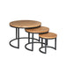 Salontafel set Dakota Naturel Mangohout 70 cm