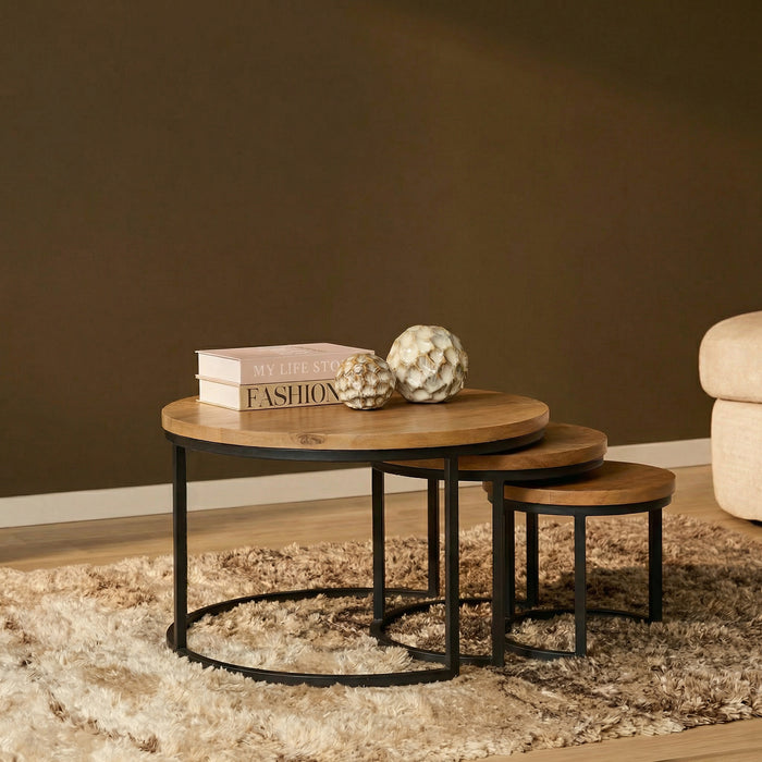 Salontafel set Dakota Naturel Mangohout 70 cm