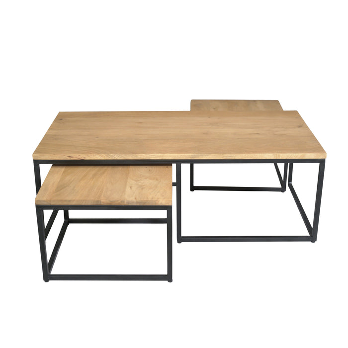 Salontafel set Dakota Naturel Mangohout 120 cm