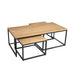 Salontafel set Dakota Naturel Mangohout 120 cm