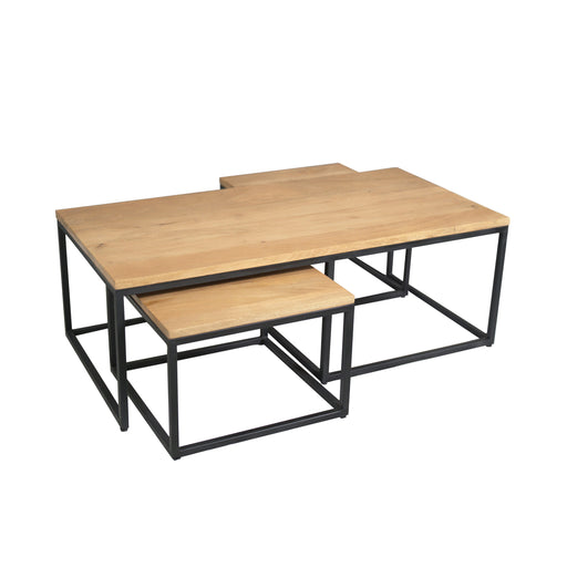 Salontafel set Dakota Naturel Mangohout 120 cm