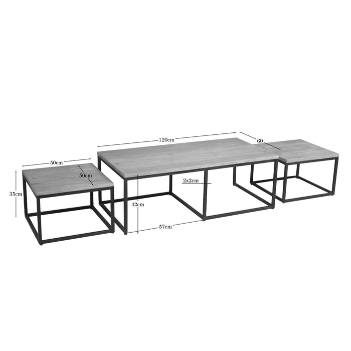 Salontafel set Dakota Naturel Mangohout 120 cm
