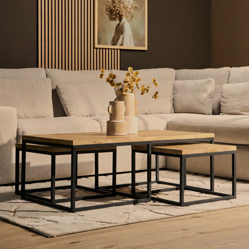 Salontafel set Dakota Naturel Mangohout 120 cm