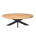 Ovale salontafel Dakota  Naturel Mangohout 130 cm