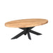Ovale salontafel Dakota  Naturel Mangohout 130 cm