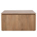 Vierkante Salontafel Dallas Naturel Mangohout 80 cm