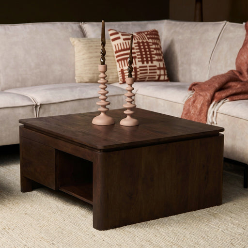 Vierkante Salontafel Dallas Bruin Mangohout 80 cm