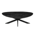 Salontafel New York Zwart Mangohout 130 cm